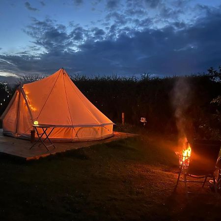 Roe Deer Meadow At Carr House Farm Hotel Scarborough Ngoại thất bức ảnh