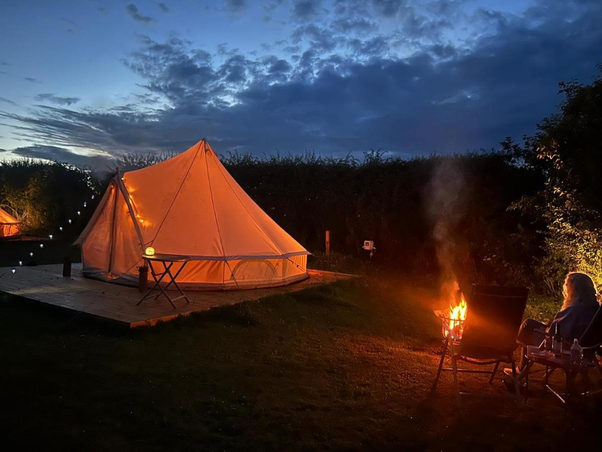 Roe Deer Meadow At Carr House Farm Hotel Scarborough Ngoại thất bức ảnh