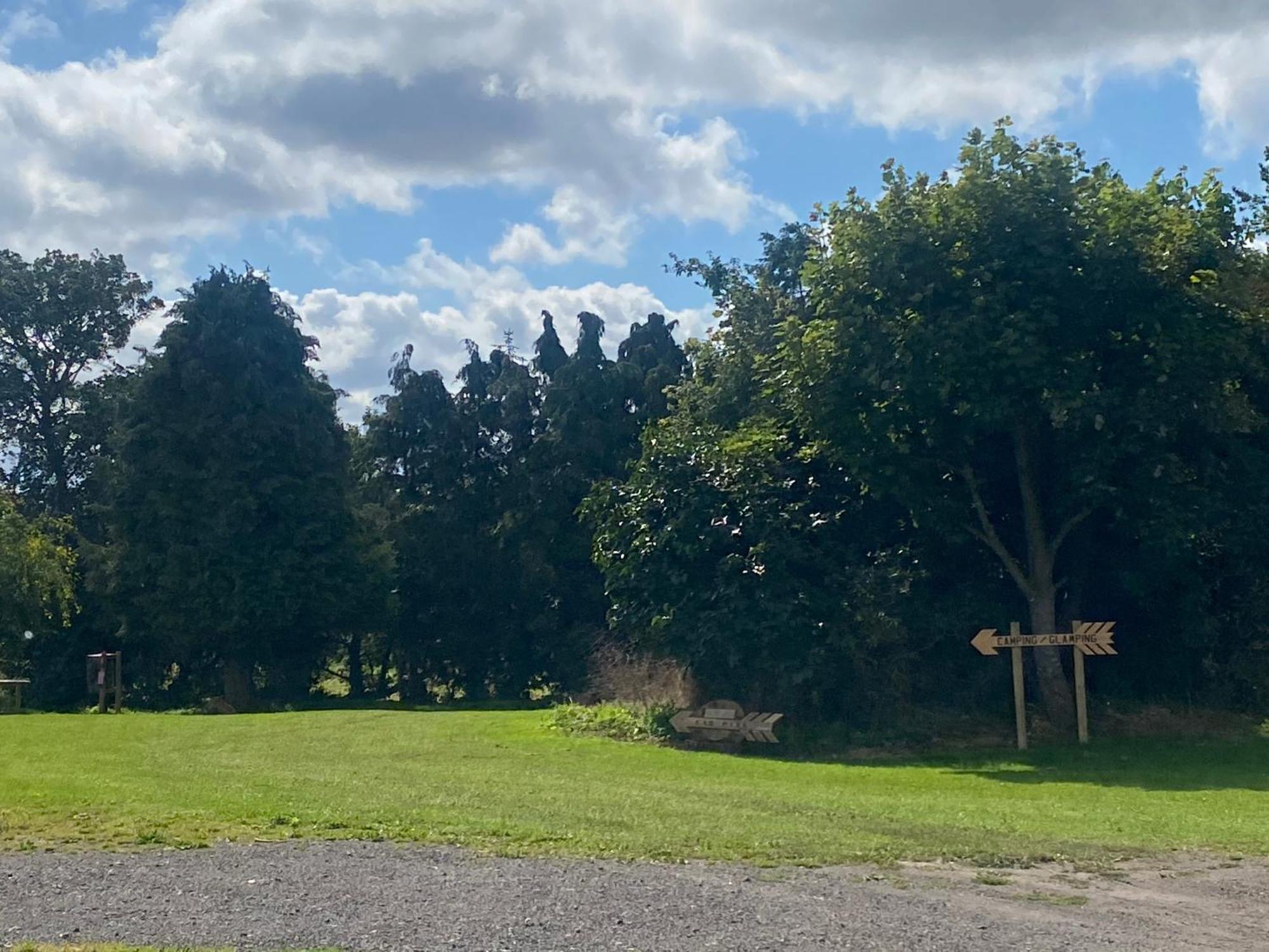 Roe Deer Meadow At Carr House Farm Hotel Scarborough Ngoại thất bức ảnh