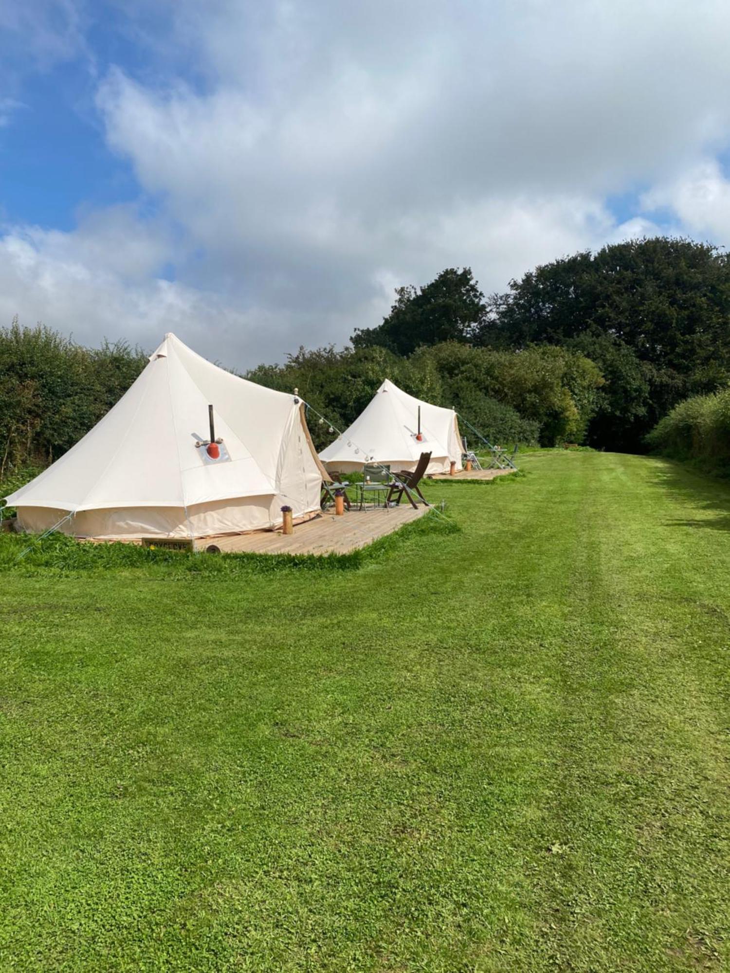 Roe Deer Meadow At Carr House Farm Hotel Scarborough Ngoại thất bức ảnh